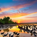 A vibrant mudflat scene in Kuala Selangor at sunset. Lively mudskippers (ketam nipah) scuttling across the mud, with migratory birds wading in shallow pools searching for food. Mangrove trees in the background, silhouetted against the colorful sky.